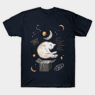 Dreaming Cat T-Shirt